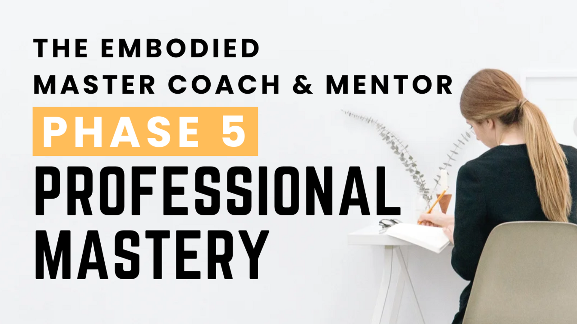 Phase 5- Professional Mastery